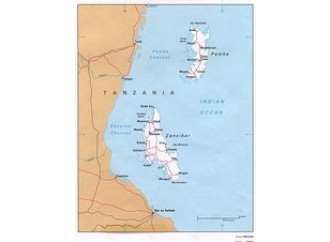 Chiese incendiate 
e violenze a Zanzibar